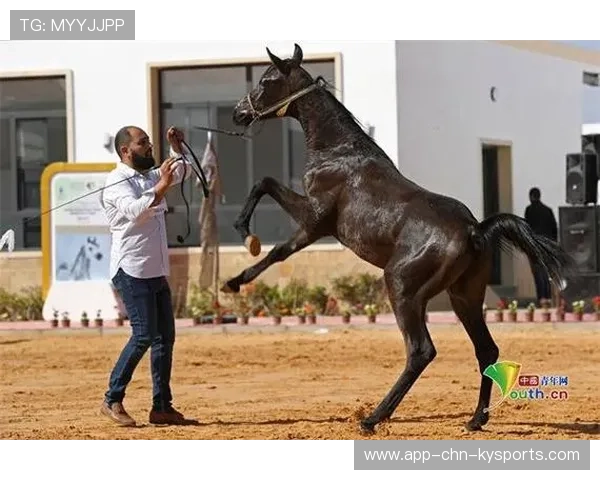 利比亚古典骑术表演精彩纷呈，利比亚选手